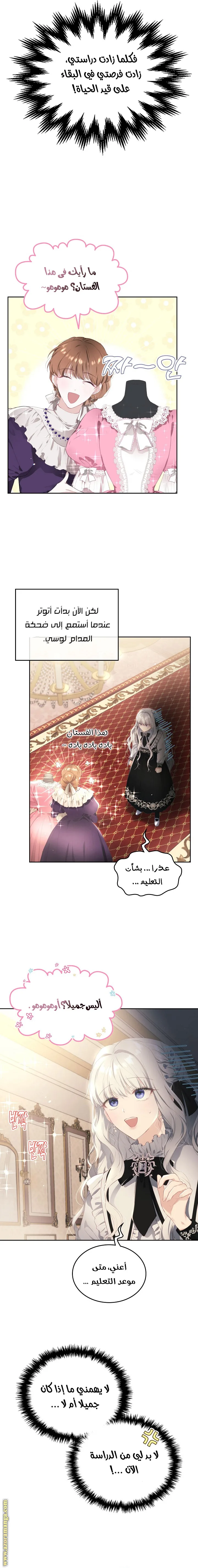 الصفحة 2