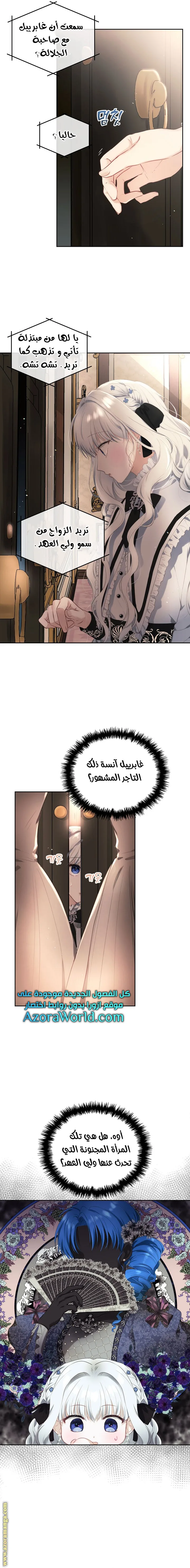الصفحة 13