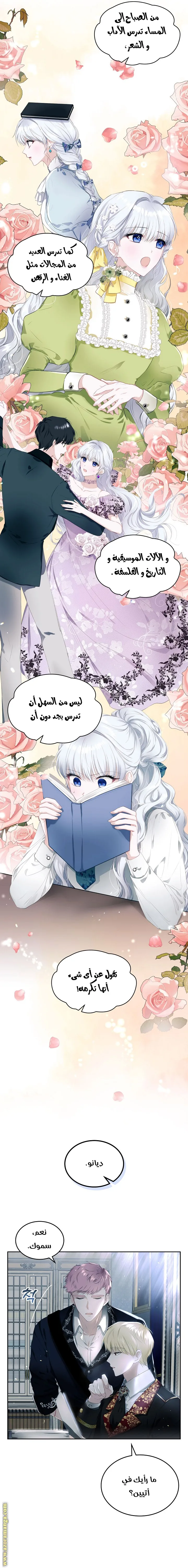 الصفحة 7