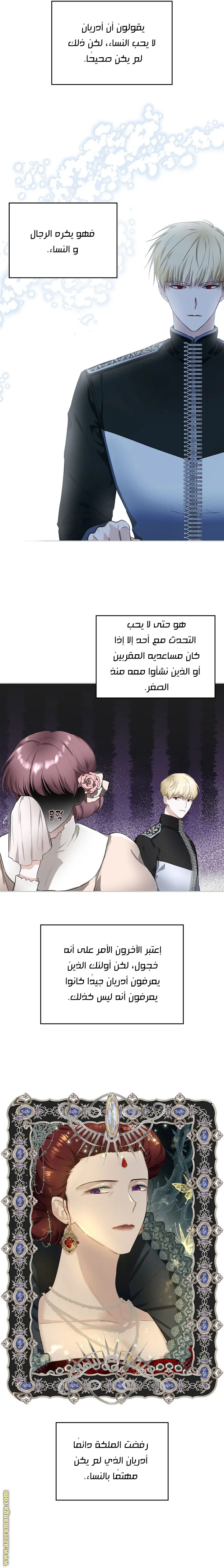 الصفحة 13