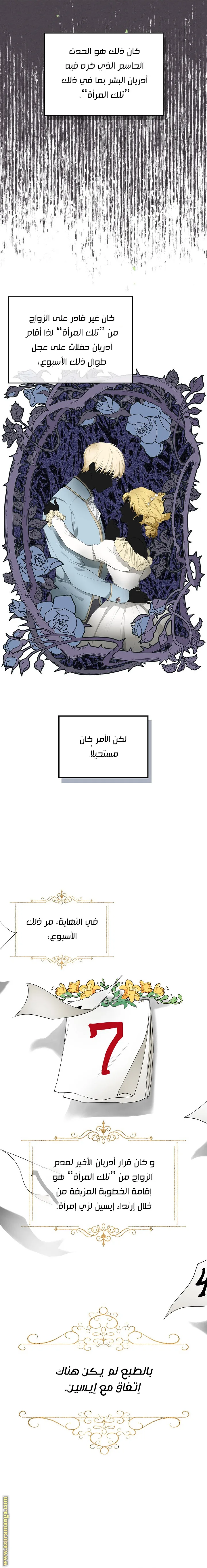 الصفحة 16