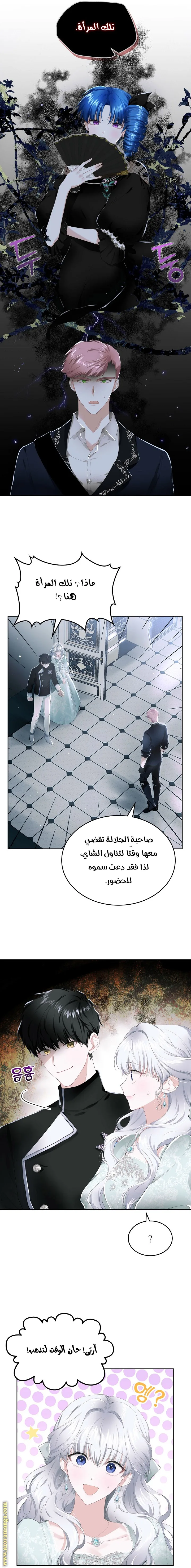 الصفحة 3