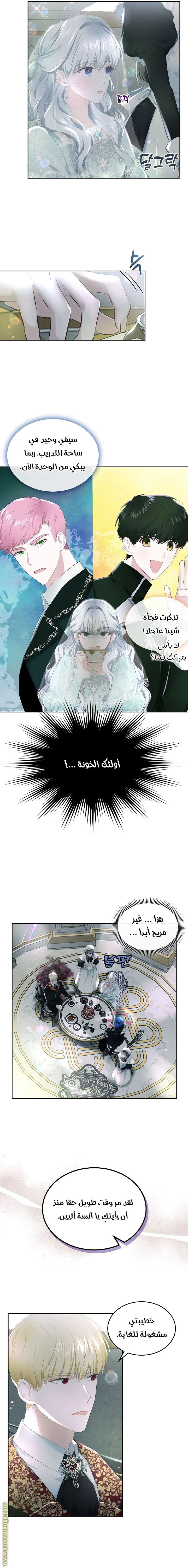 الصفحة 14