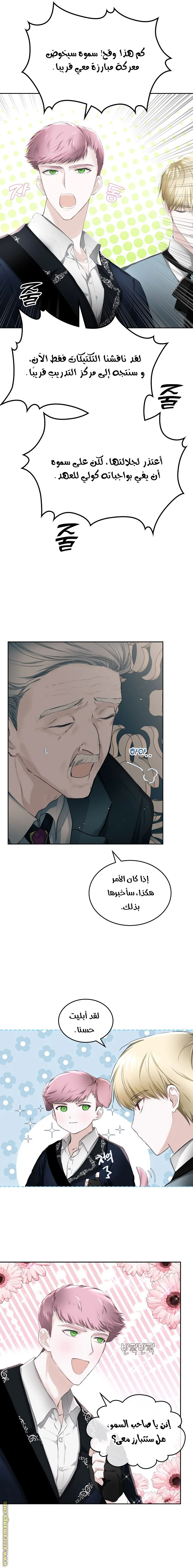 الصفحة 13