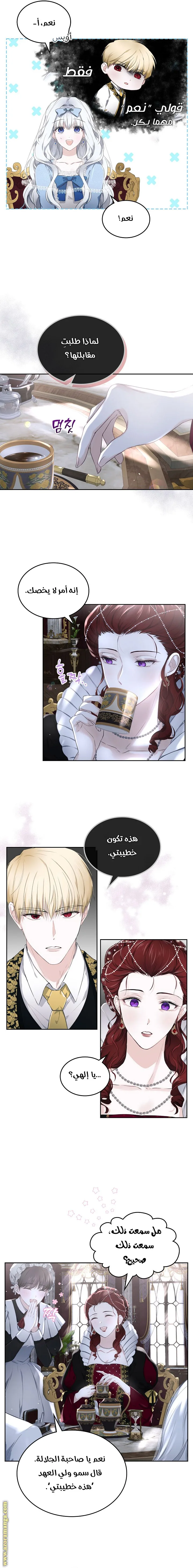 الصفحة 14