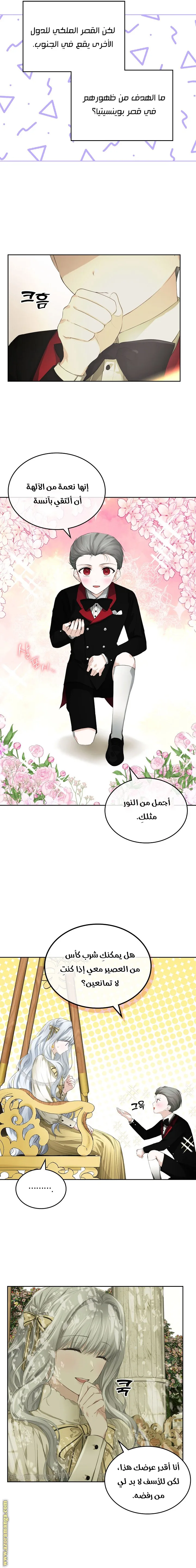 الصفحة 3