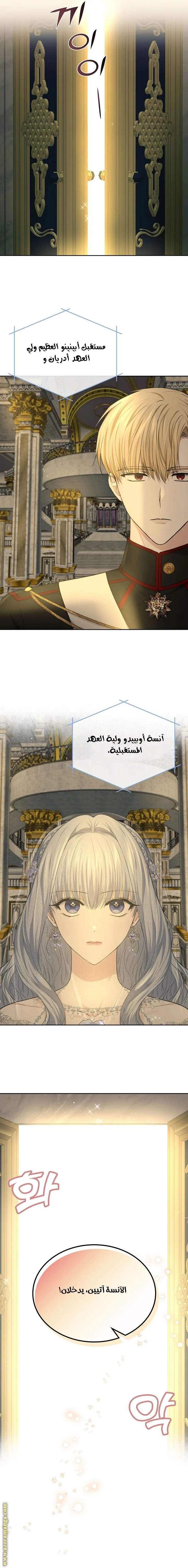 الصفحة 17