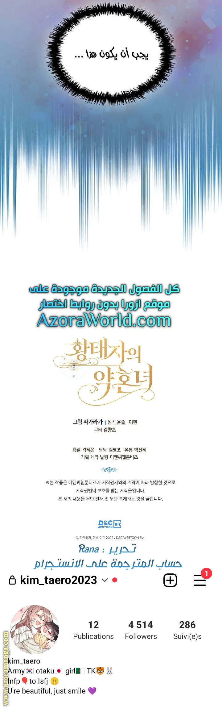 الصفحة 17