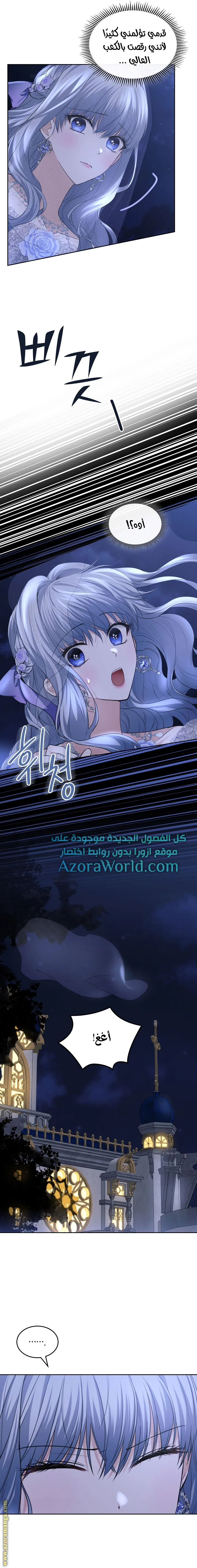 الصفحة 12