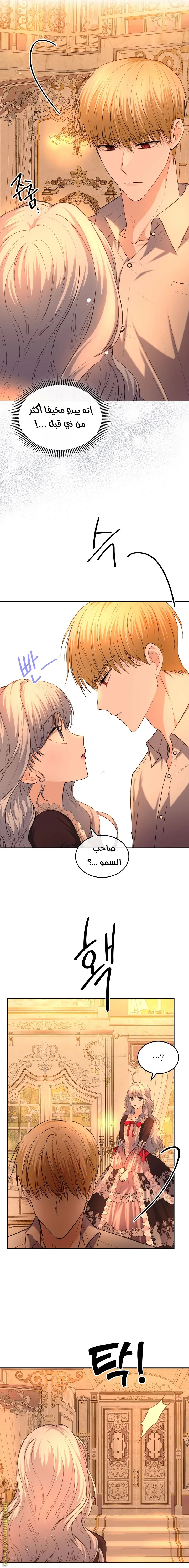 الصفحة 17