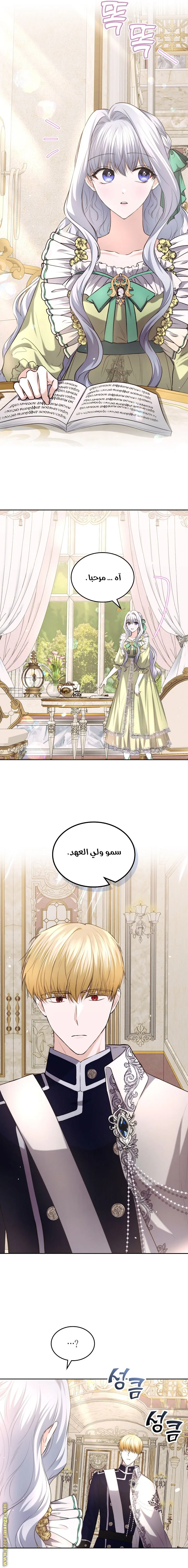 الصفحة 11