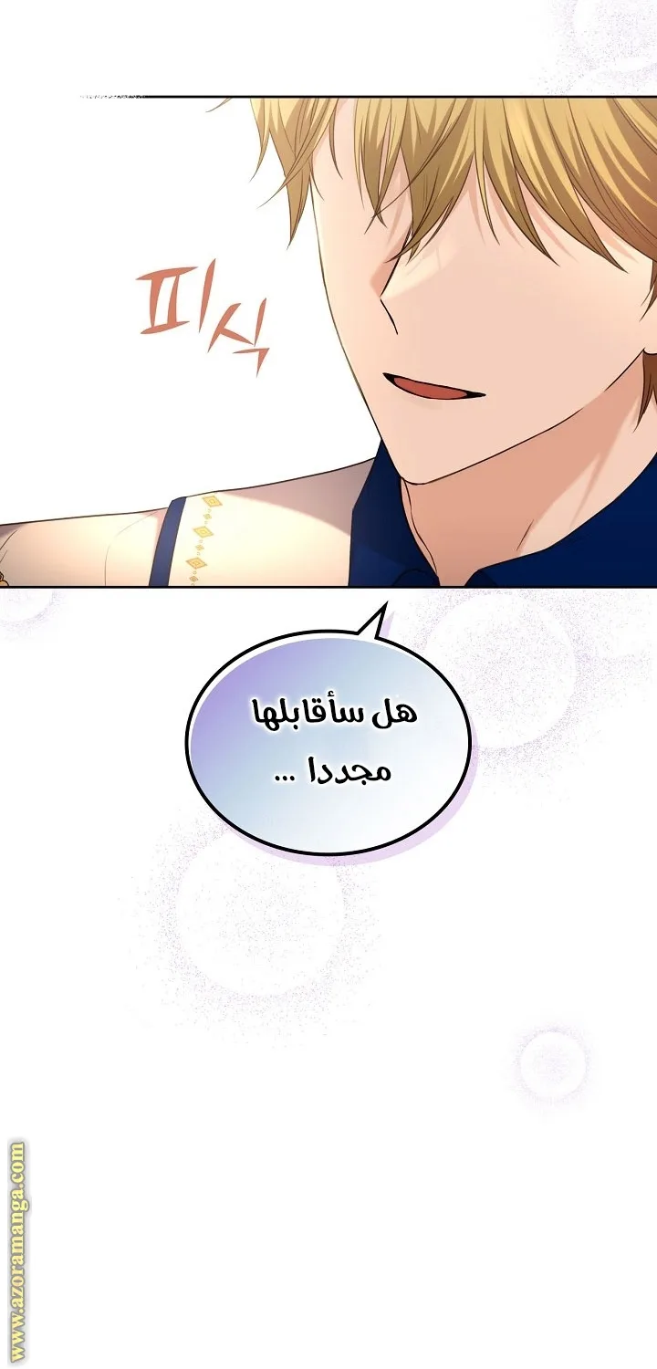 الصفحة 48