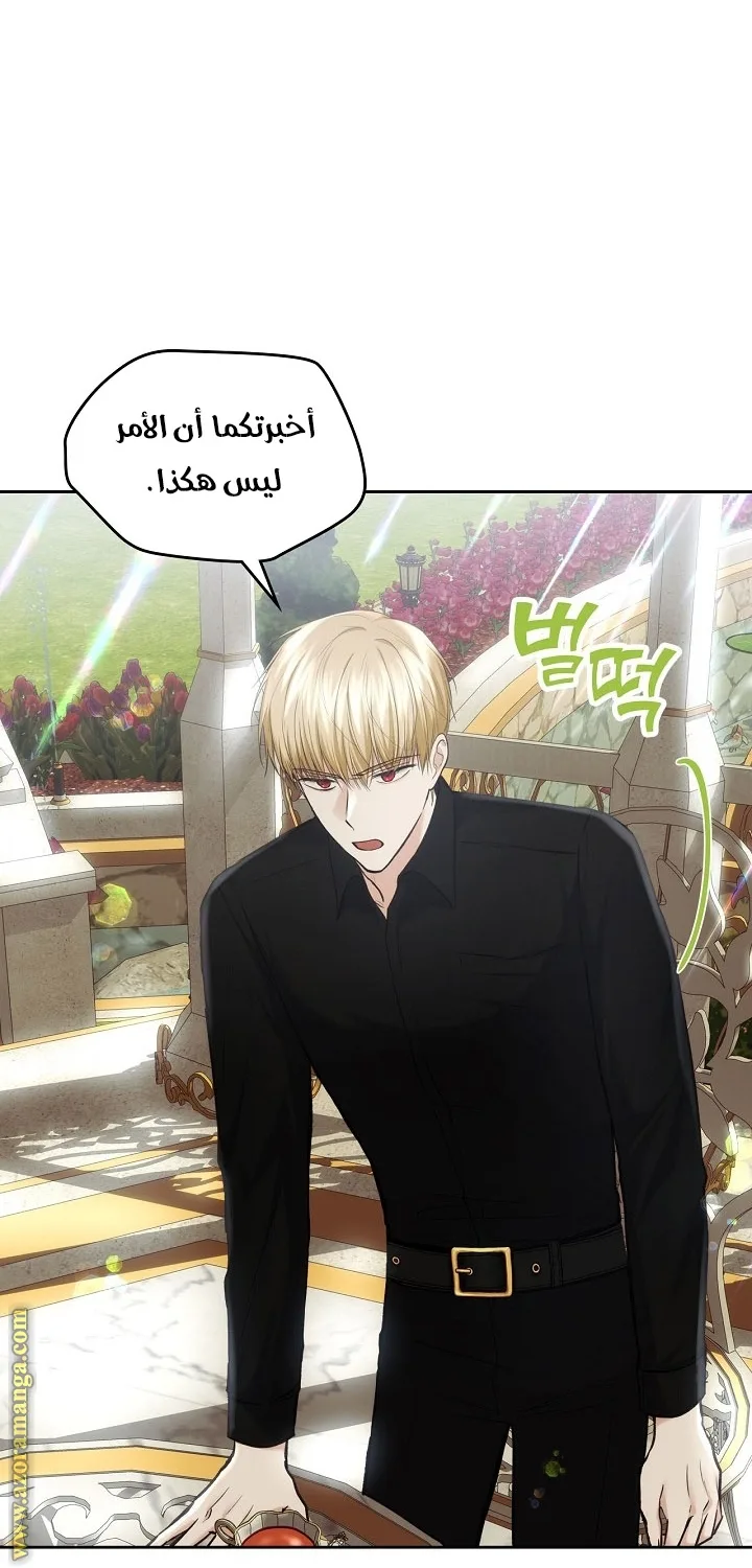 الصفحة 23