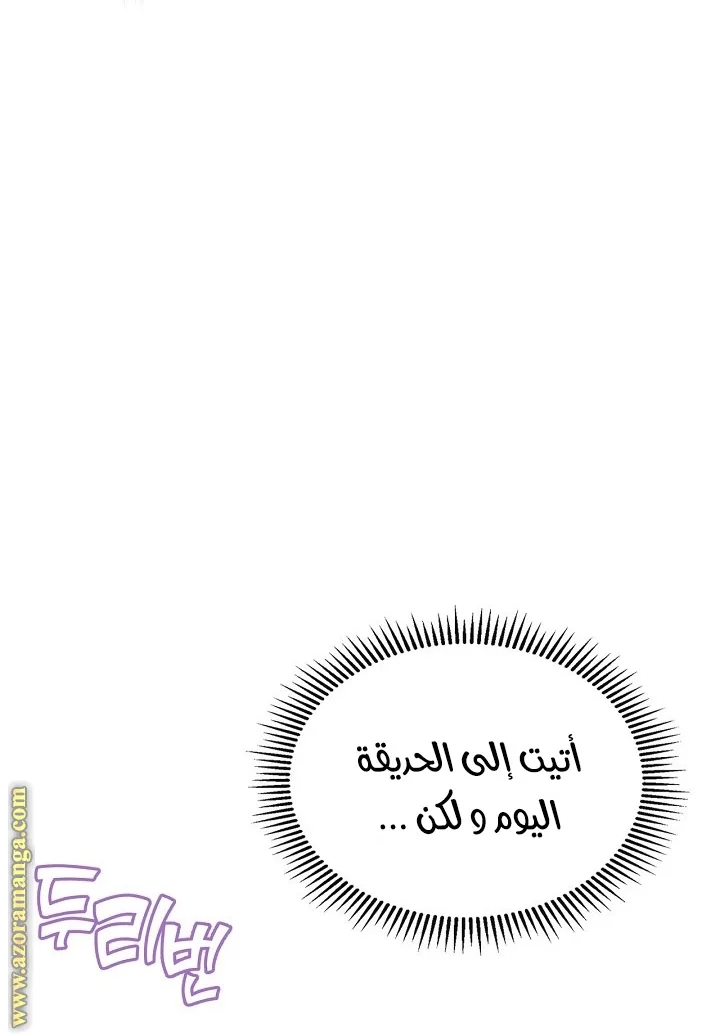الصفحة 28