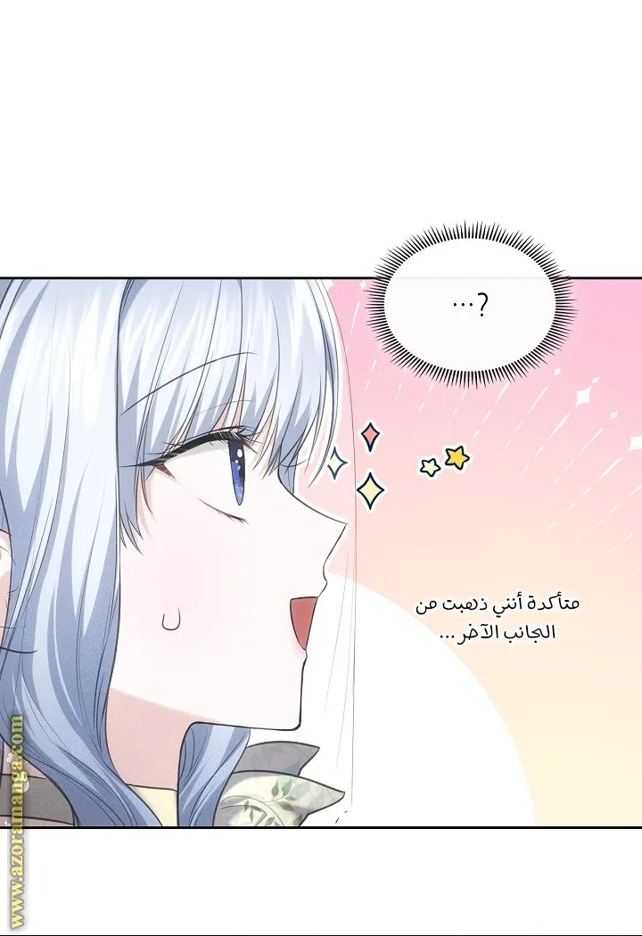 الصفحة 41