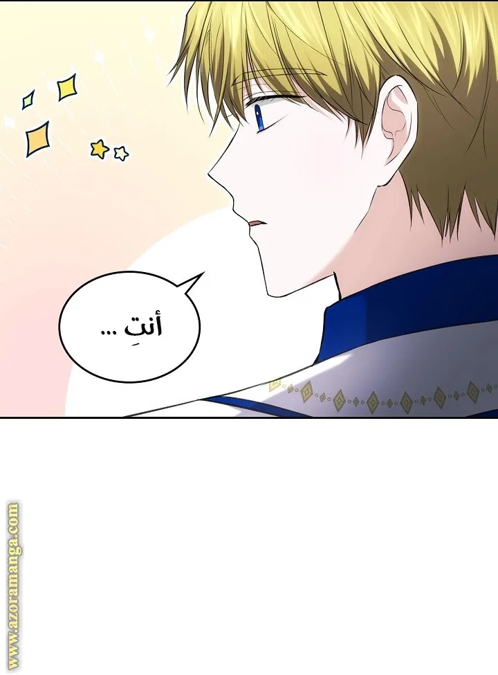 الصفحة 42