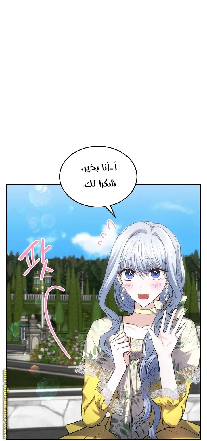 الصفحة 46