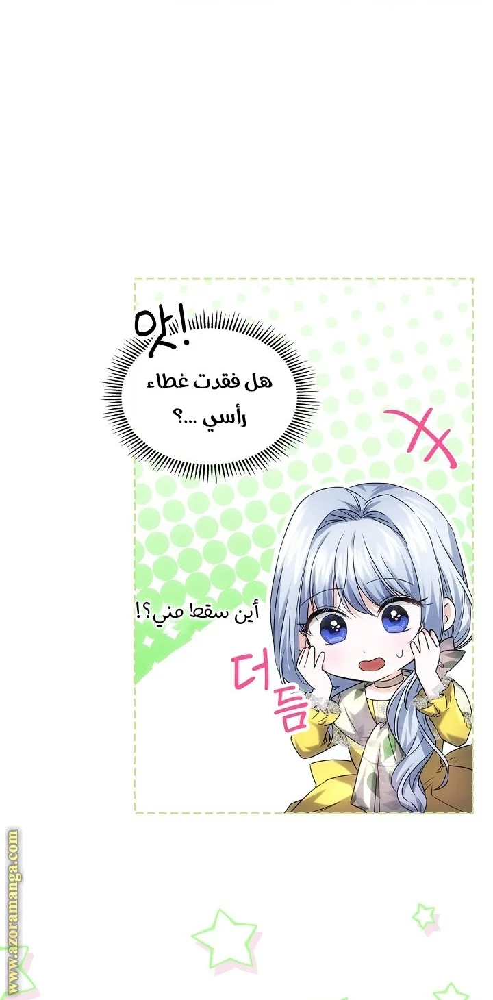 الصفحة 47