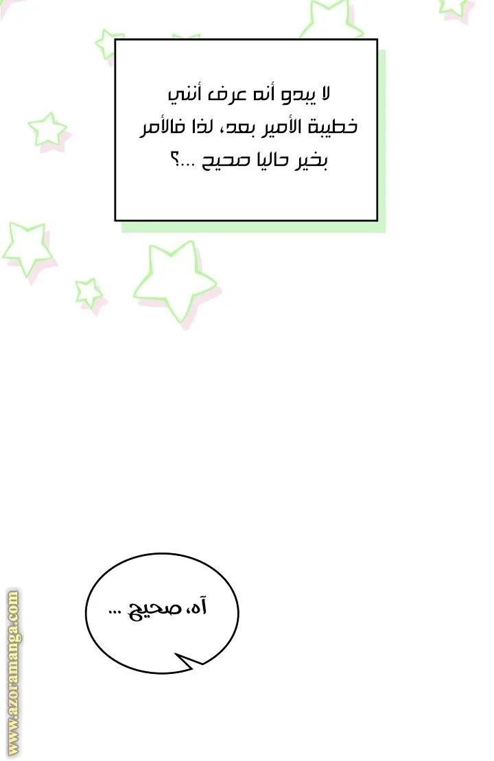 الصفحة 48