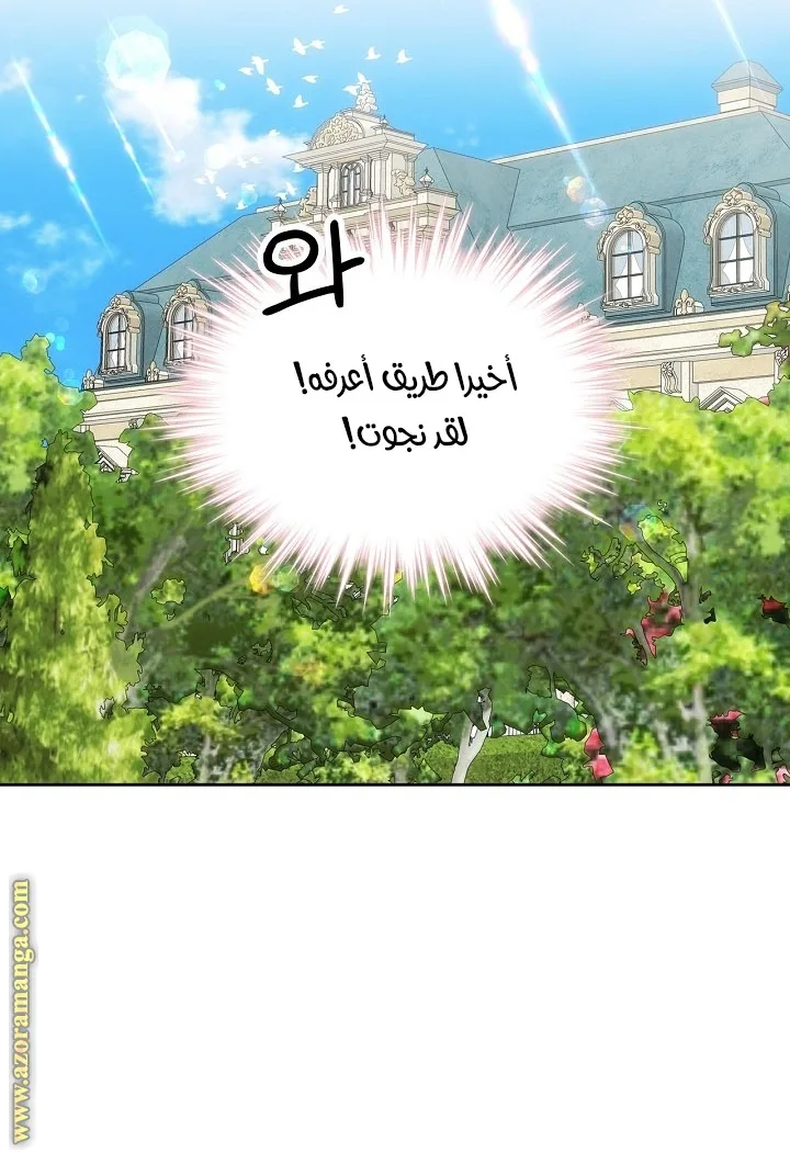 الصفحة 53