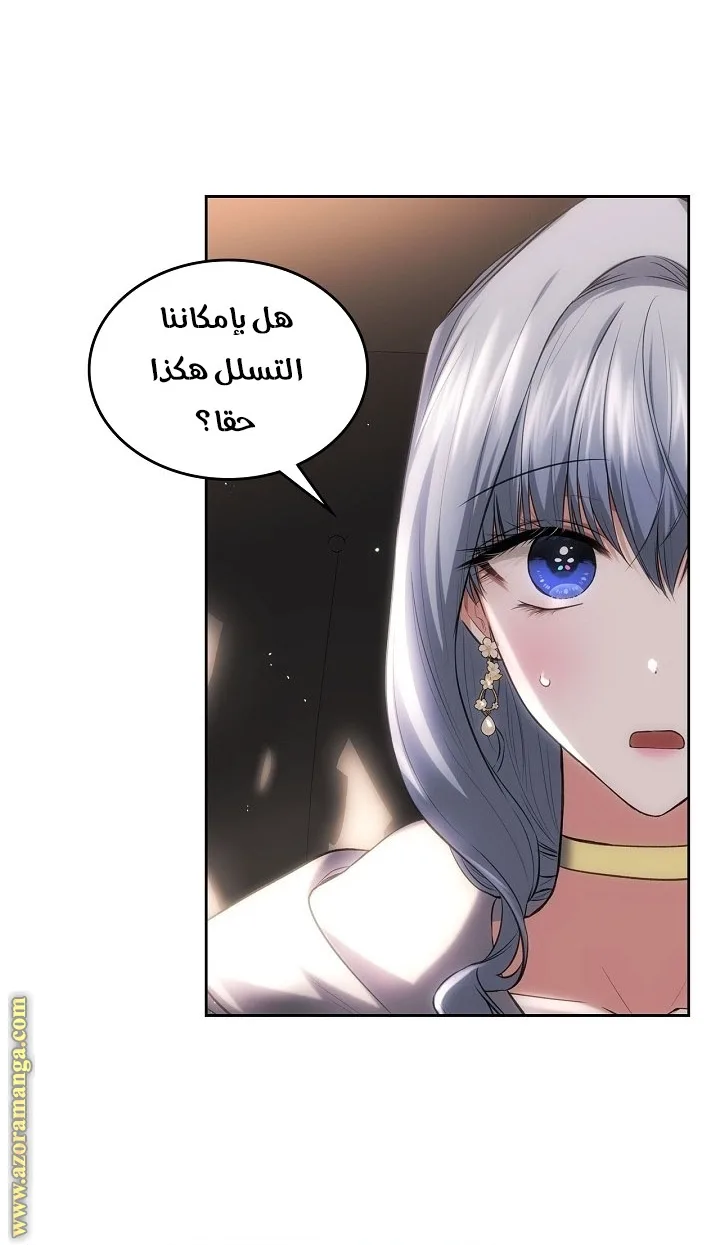 الصفحة 13