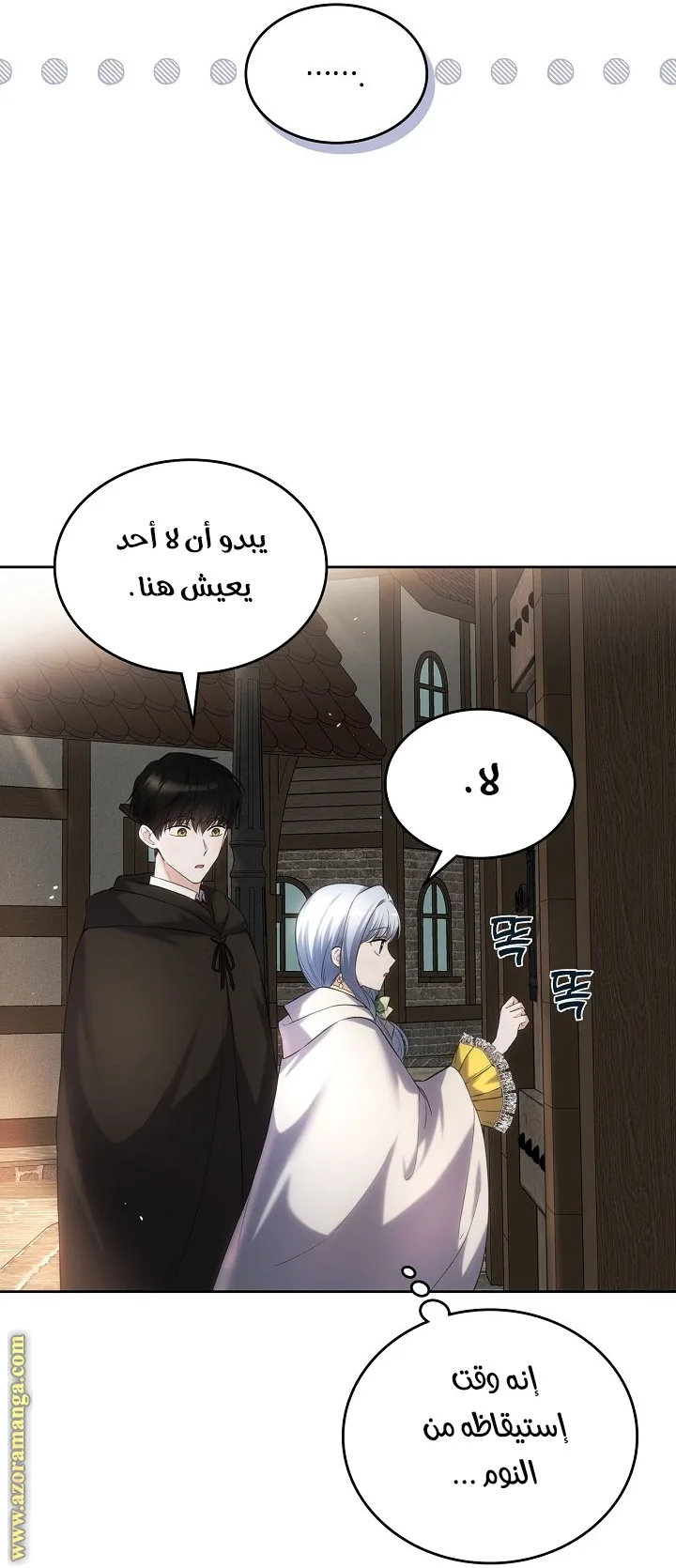 الصفحة 31