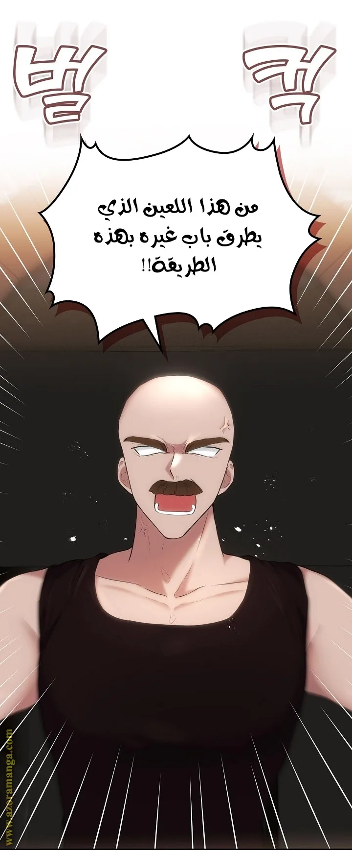 الصفحة 36