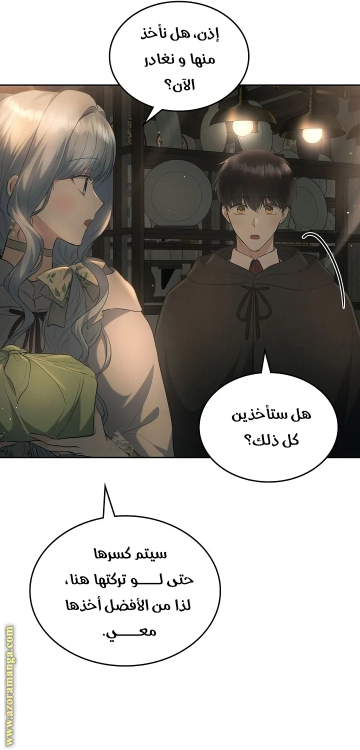 الصفحة 27