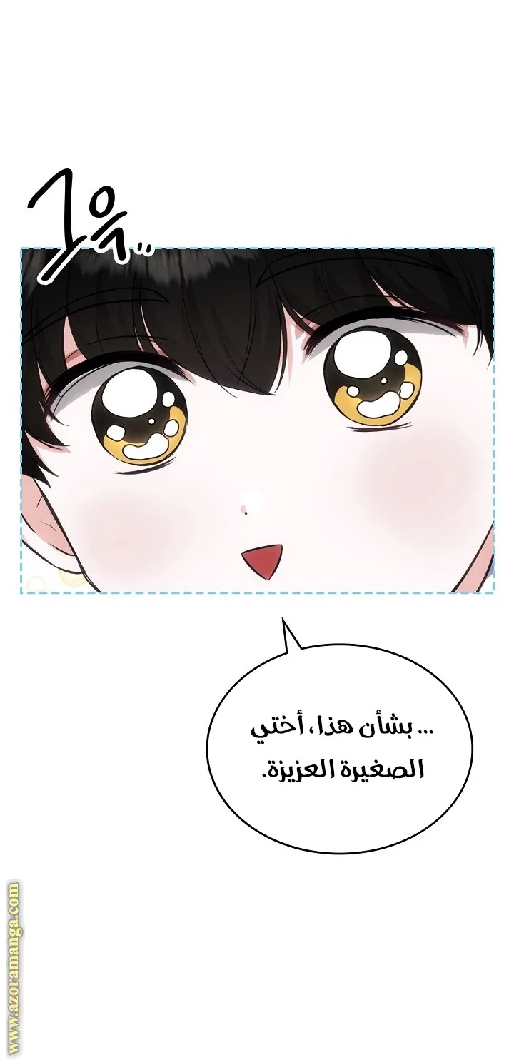 الصفحة 28