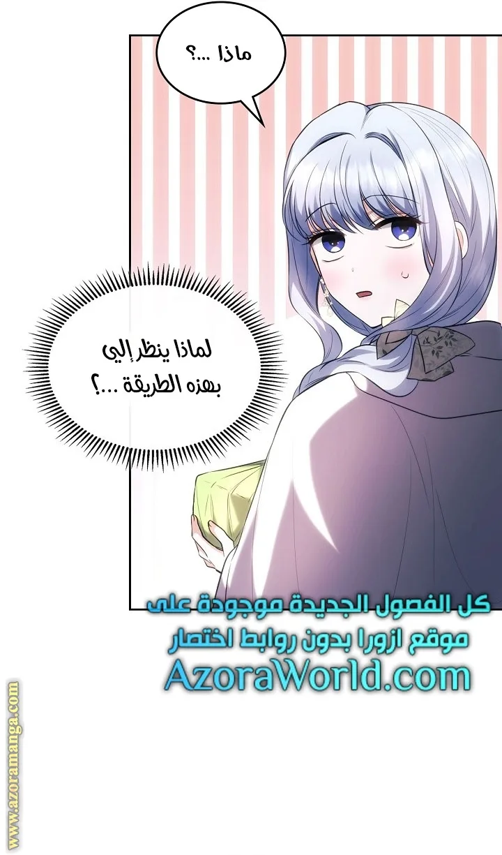 الصفحة 29