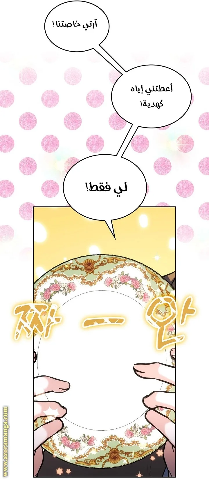 الصفحة 17