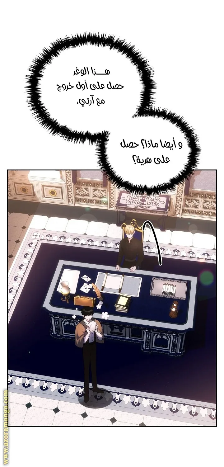 الصفحة 19