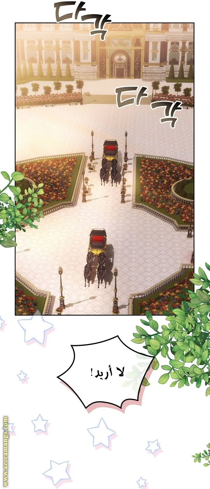 الصفحة 46