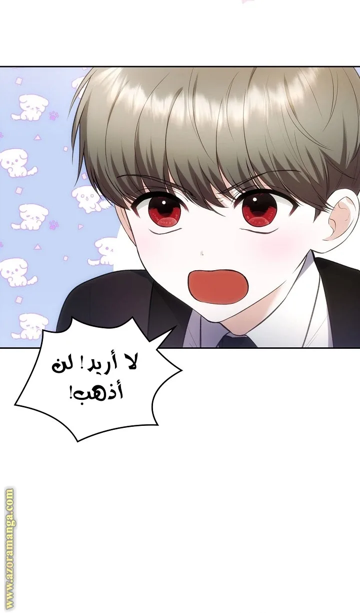 الصفحة 47