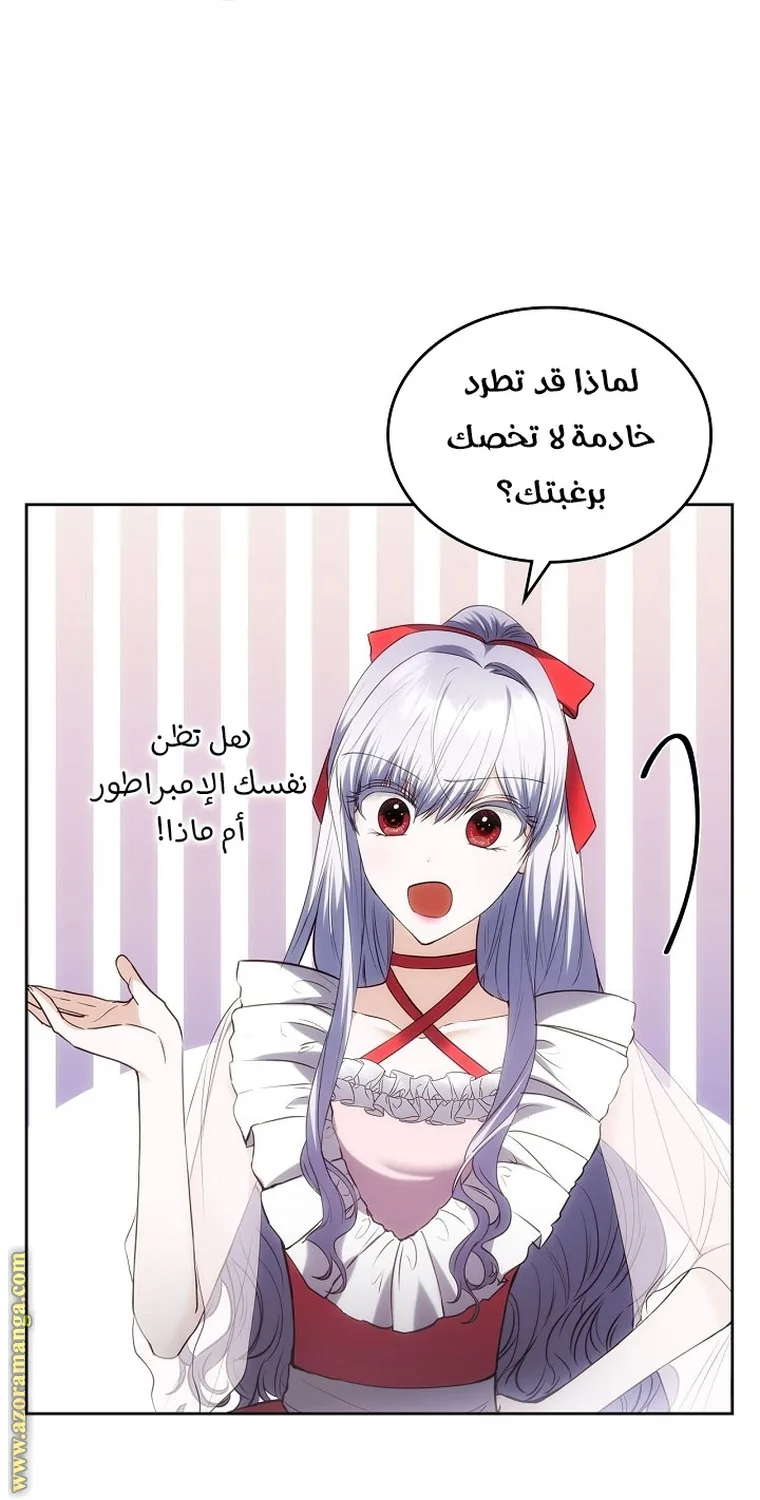 الصفحة 27