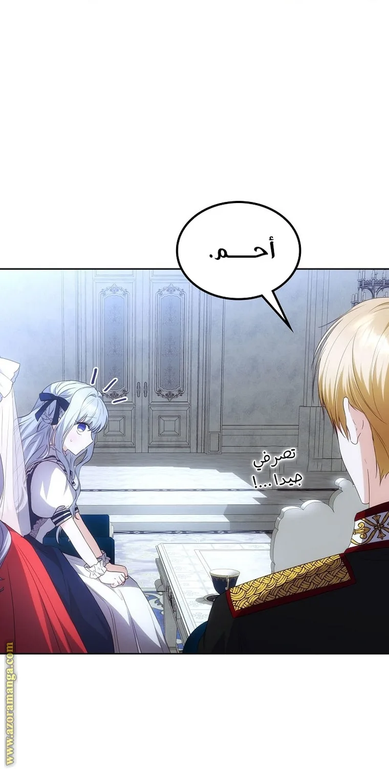 الصفحة 43