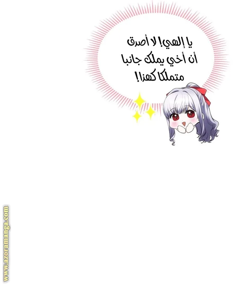 الصفحة 51