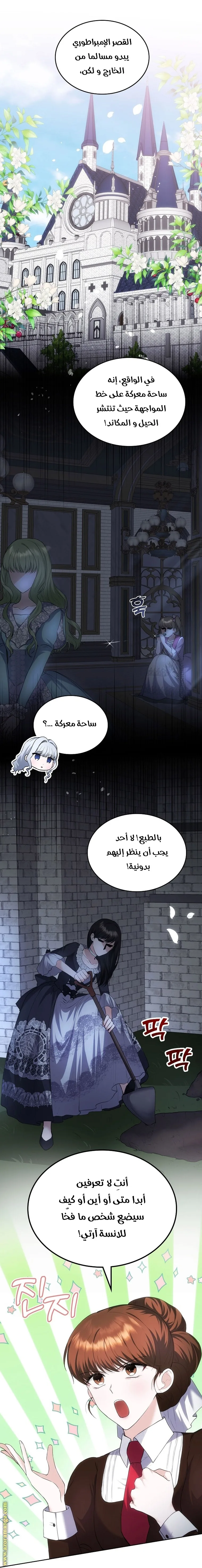 الصفحة 13