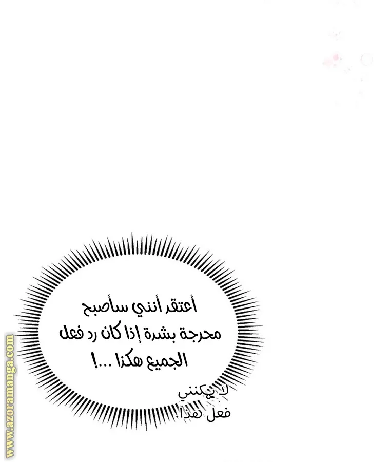الصفحة 34