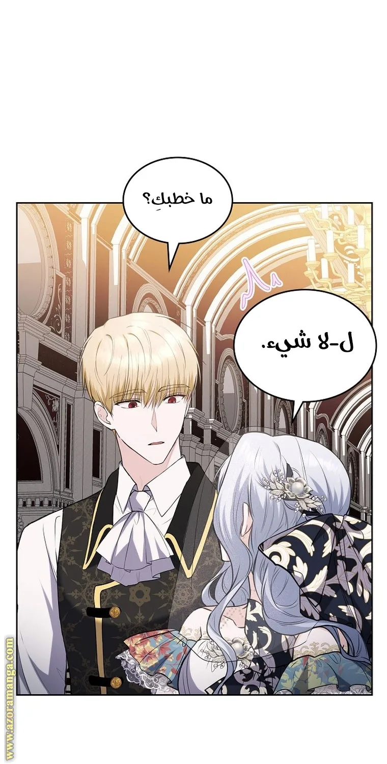 الصفحة 48