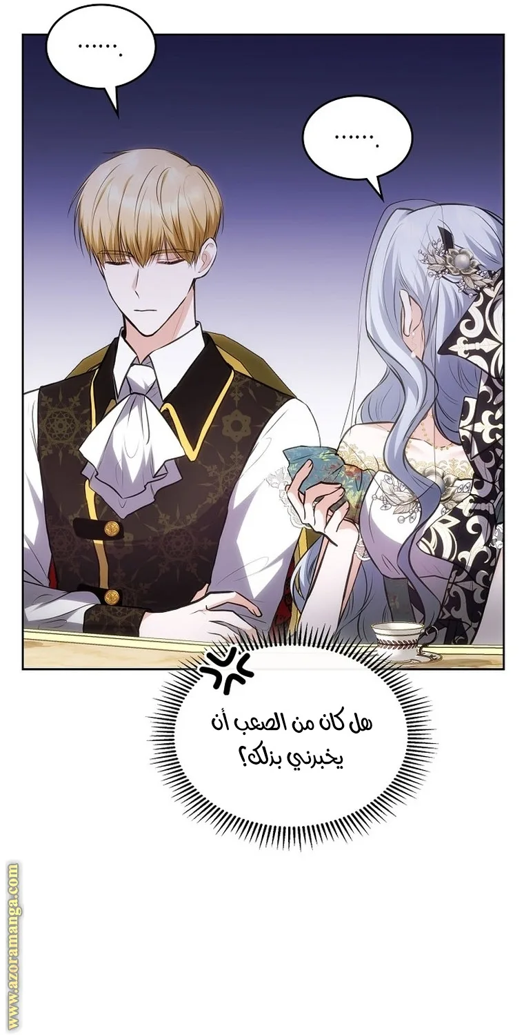 الصفحة 17