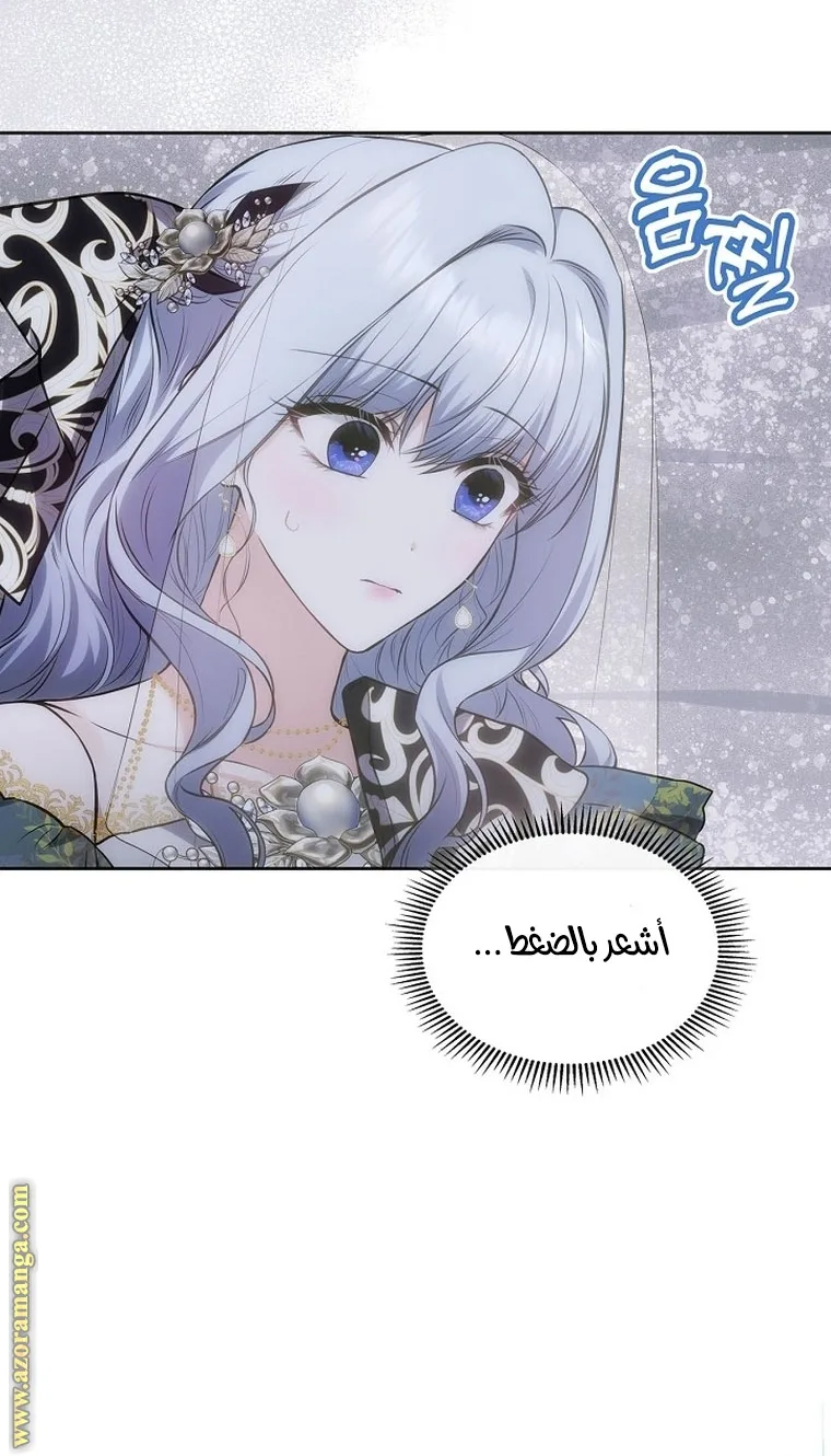 الصفحة 34