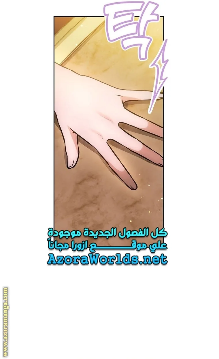 الصفحة 46