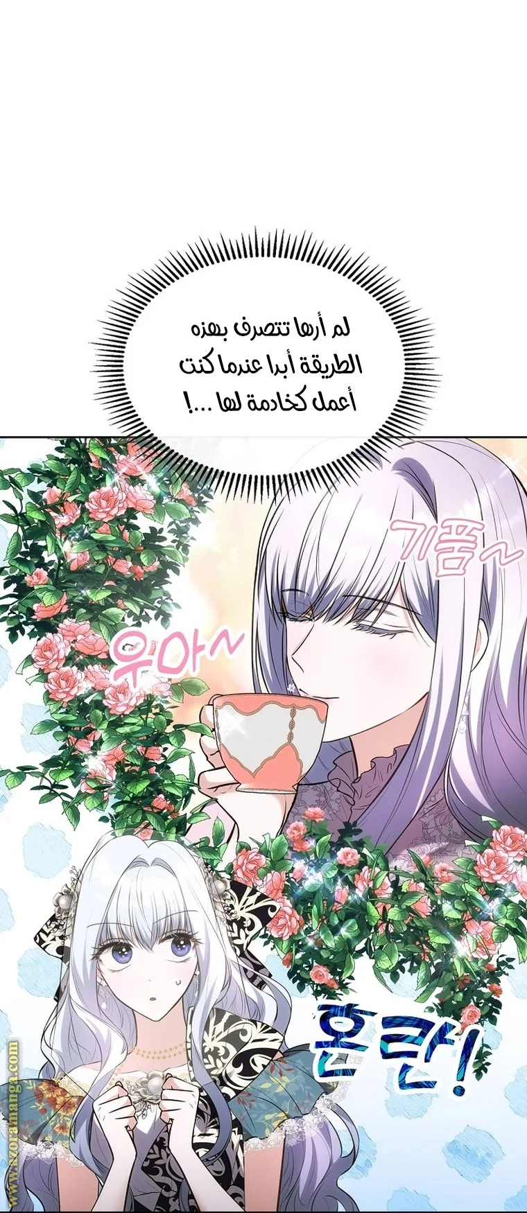الصفحة 48