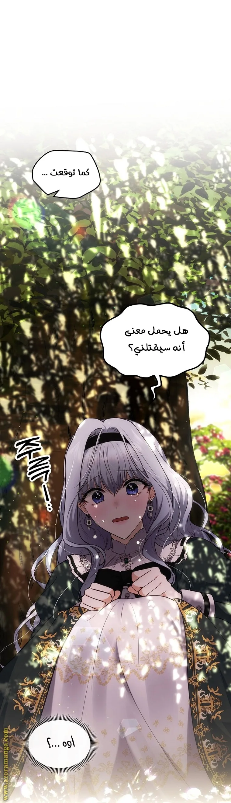 الصفحة 42