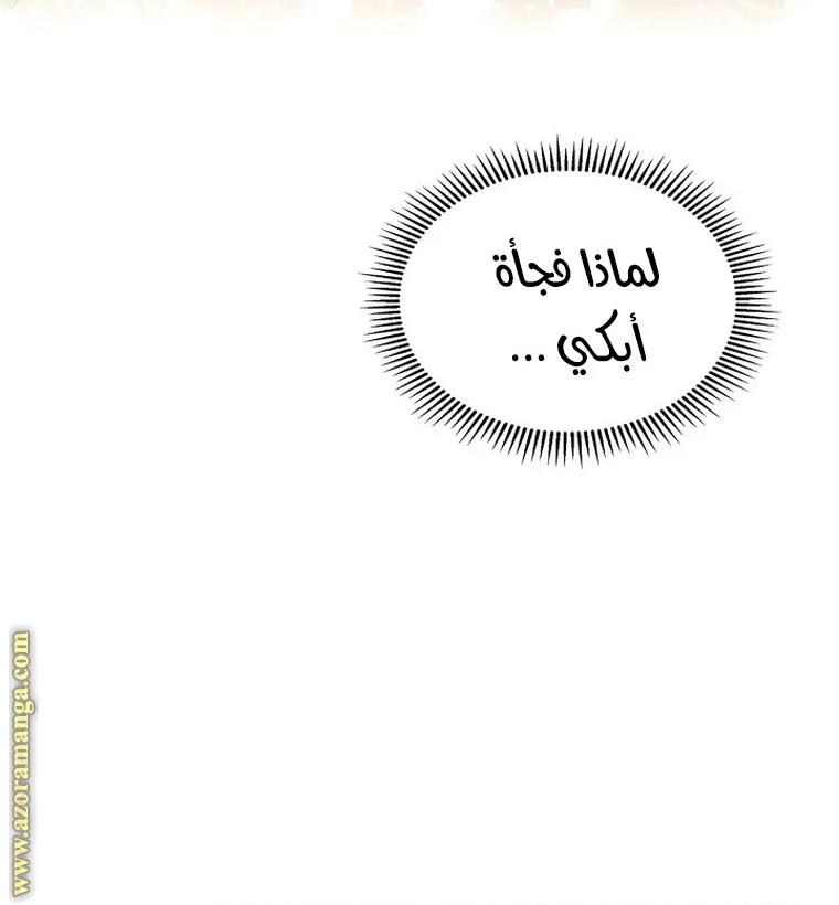 الصفحة 43