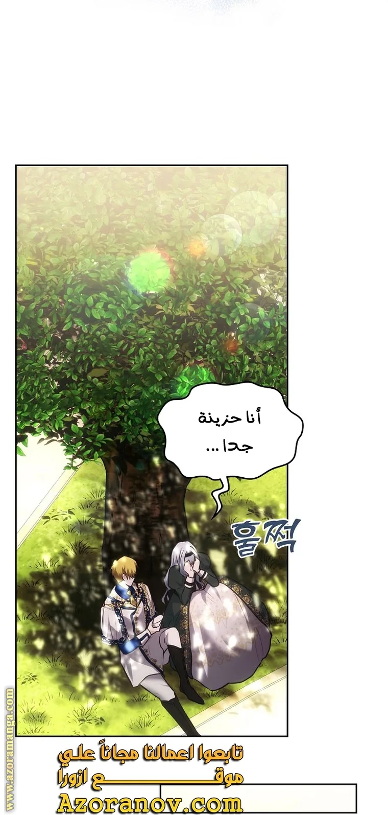 الصفحة 46