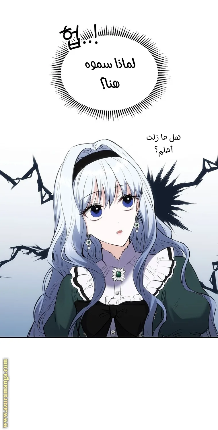 الصفحة 23