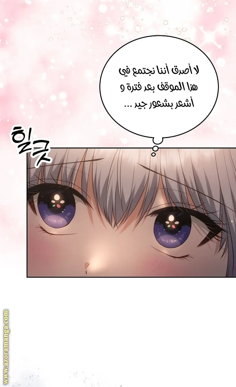 الصفحة 48