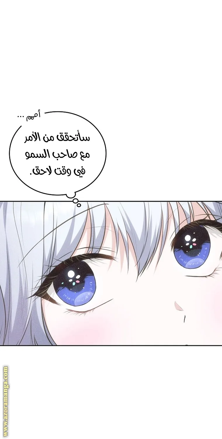 الصفحة 25